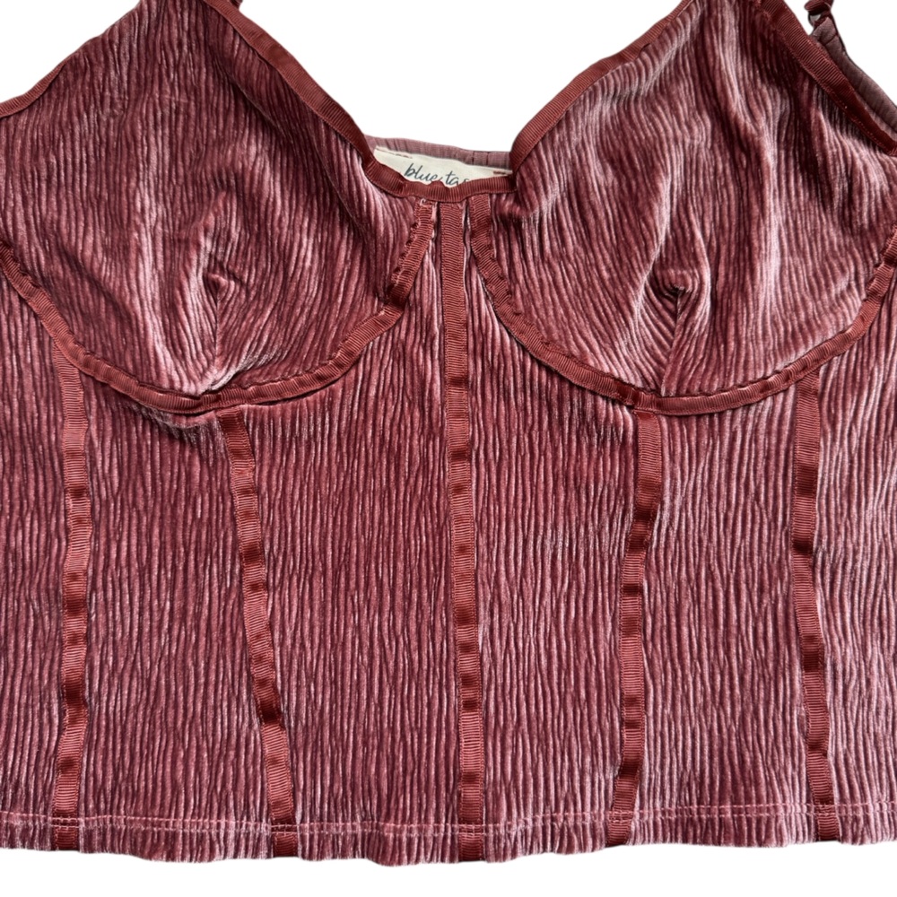 Anthro Blue Tassel Corset Seamed Cami Top Crushed Velvet Spaghetti Straps Large - Picture 7 of 12